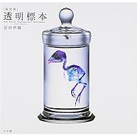 大特価☆数量限定☆透明骨格標本 11本セット レア 深海生物含む 新世界]透明標本~New World Transparent Specimen~ | 冨田 伊織